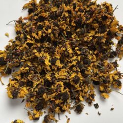 Dried Coreopsis flowers